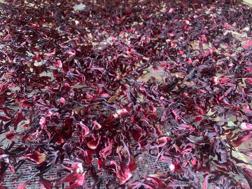 Organic hibiscus (bissap)
