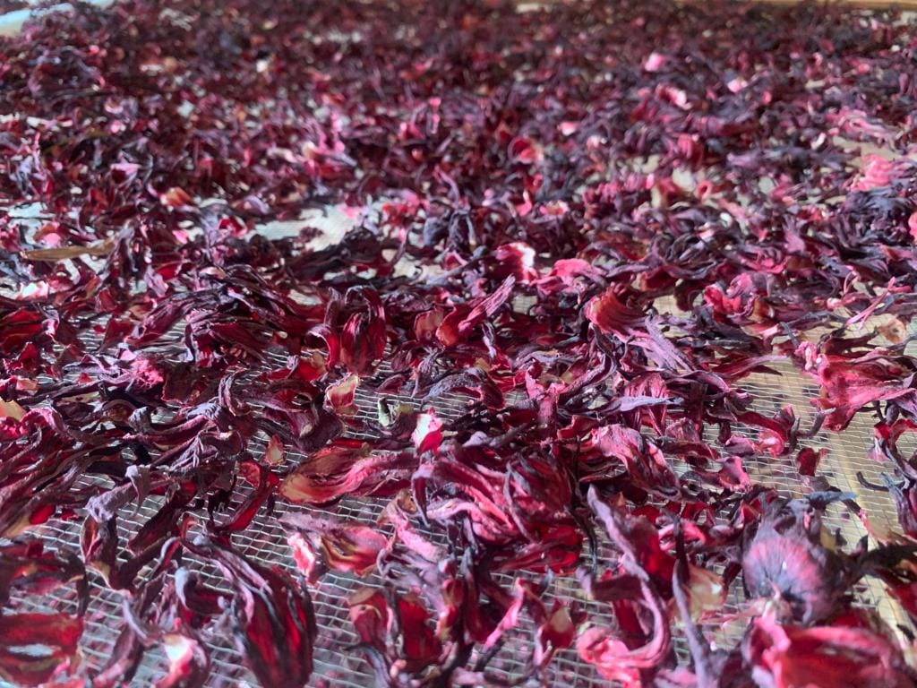 Hibiscus bio (bissap qualité vimto)