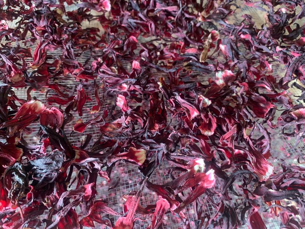 Hibiscus bio (bissap qualité vimto)