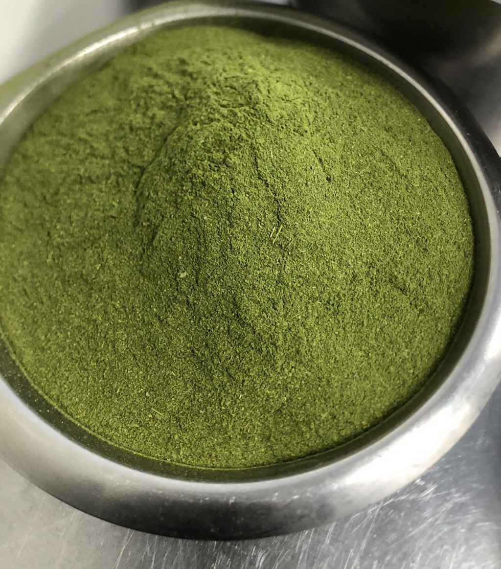organic moringa powder
