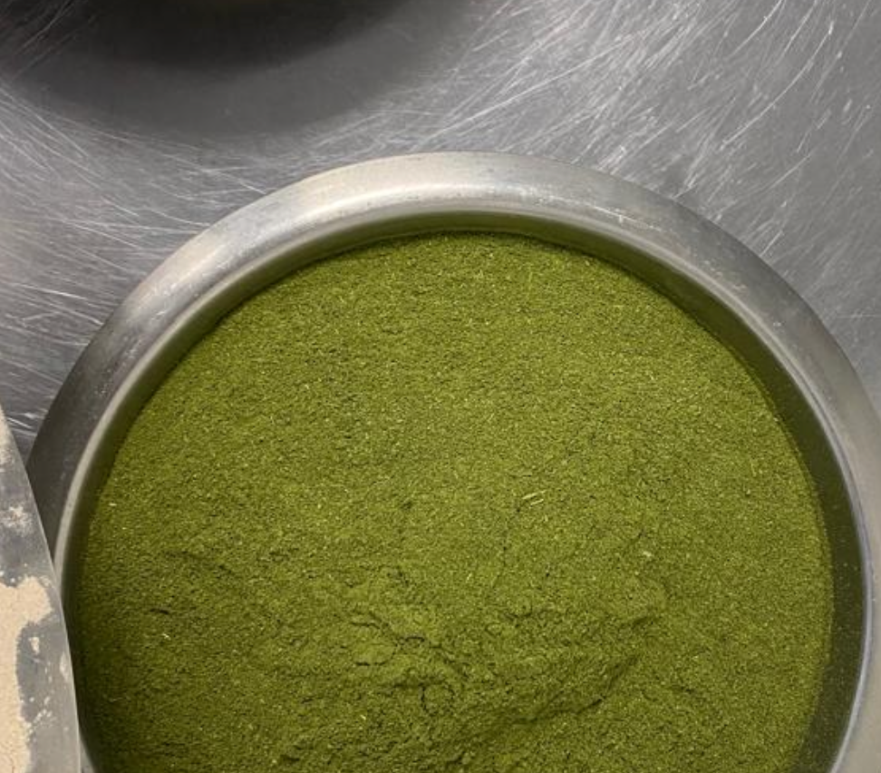 organic moringa powder