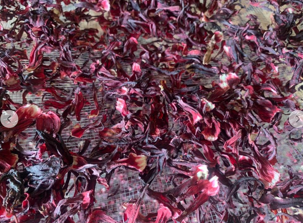 Hibiscus bio (bissap qualité vimto)