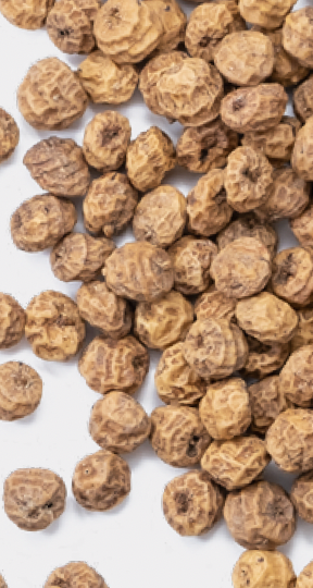 souchet bio (ndiir, tchogon)